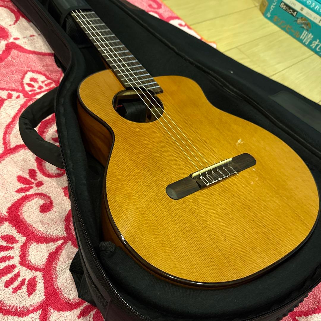 ギター aNueNue/Bird Guitar Series aNN-MN14EF