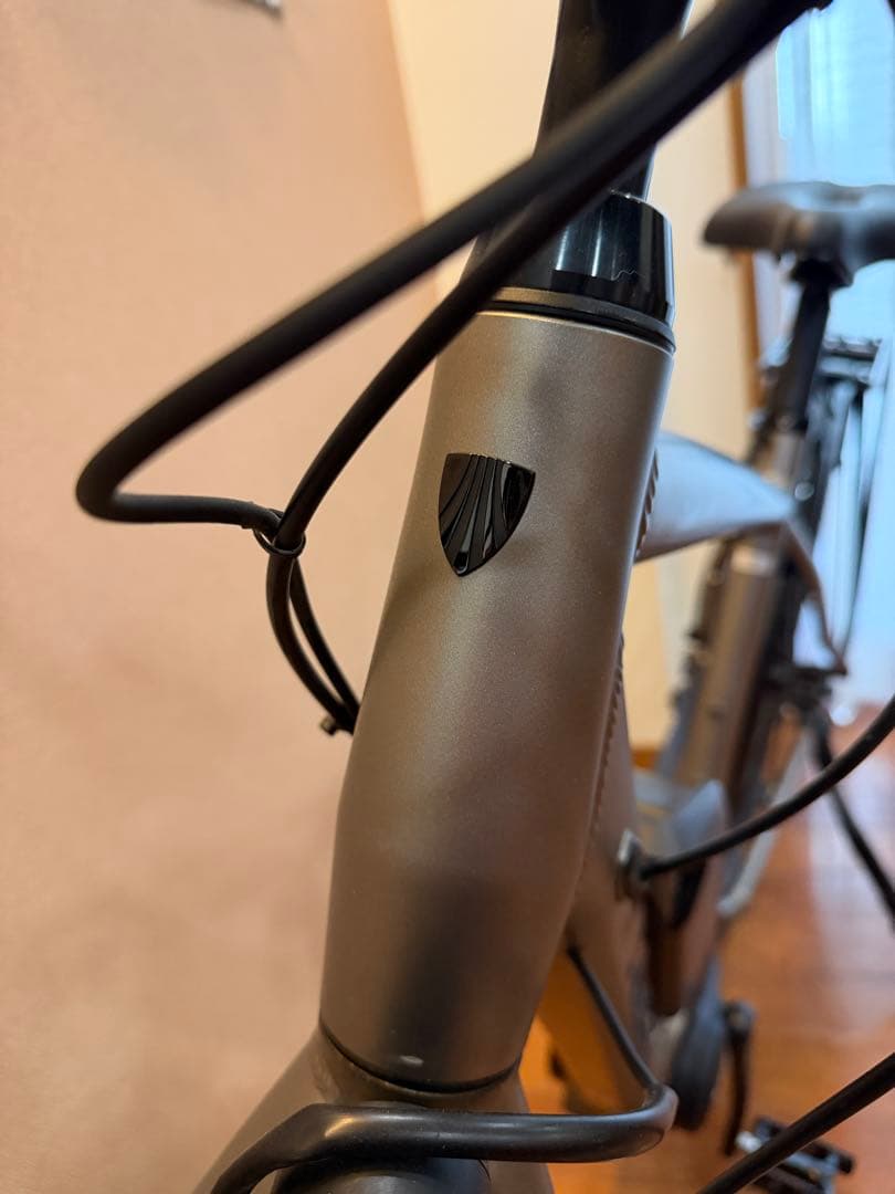TREK Verve+ 2 （点検済）