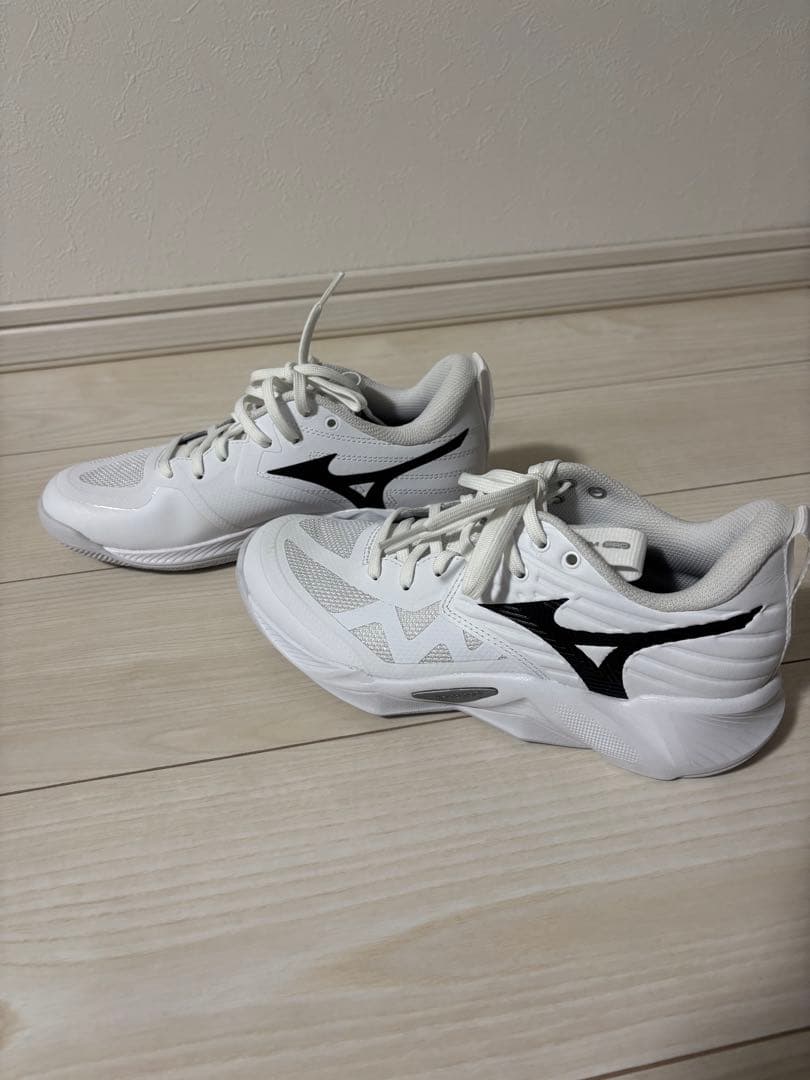 MIZUNOミズノ WAVE MOMENTUM PRO 23.5cm