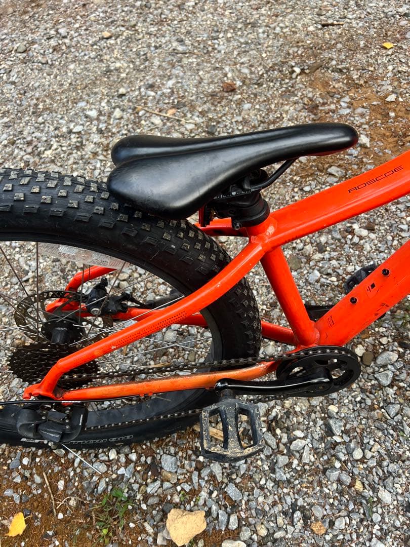 Masataka kawato　Trek Roscoe 24 キッズ