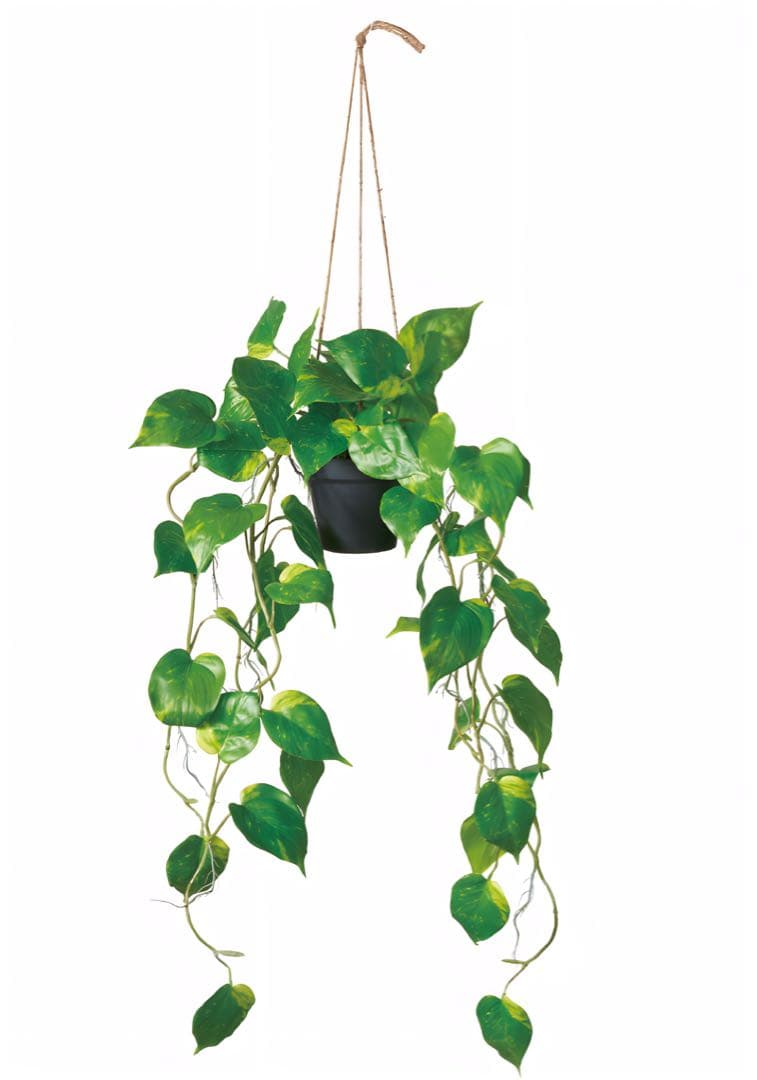 光触媒　人工観葉植物　ウォールグリーン　フェイクグリーン　ポトスハンギング