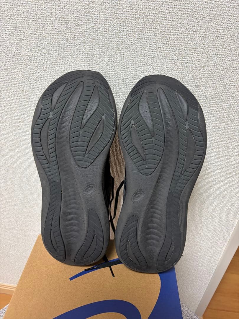 アシックス asics ゲルニンバス27 gel nimbus 28.0cm