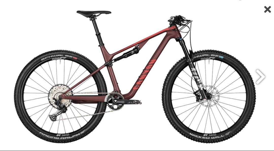 SCHWALBE チューブレスTL-EASY EVO 29”トレイルタイヤ
