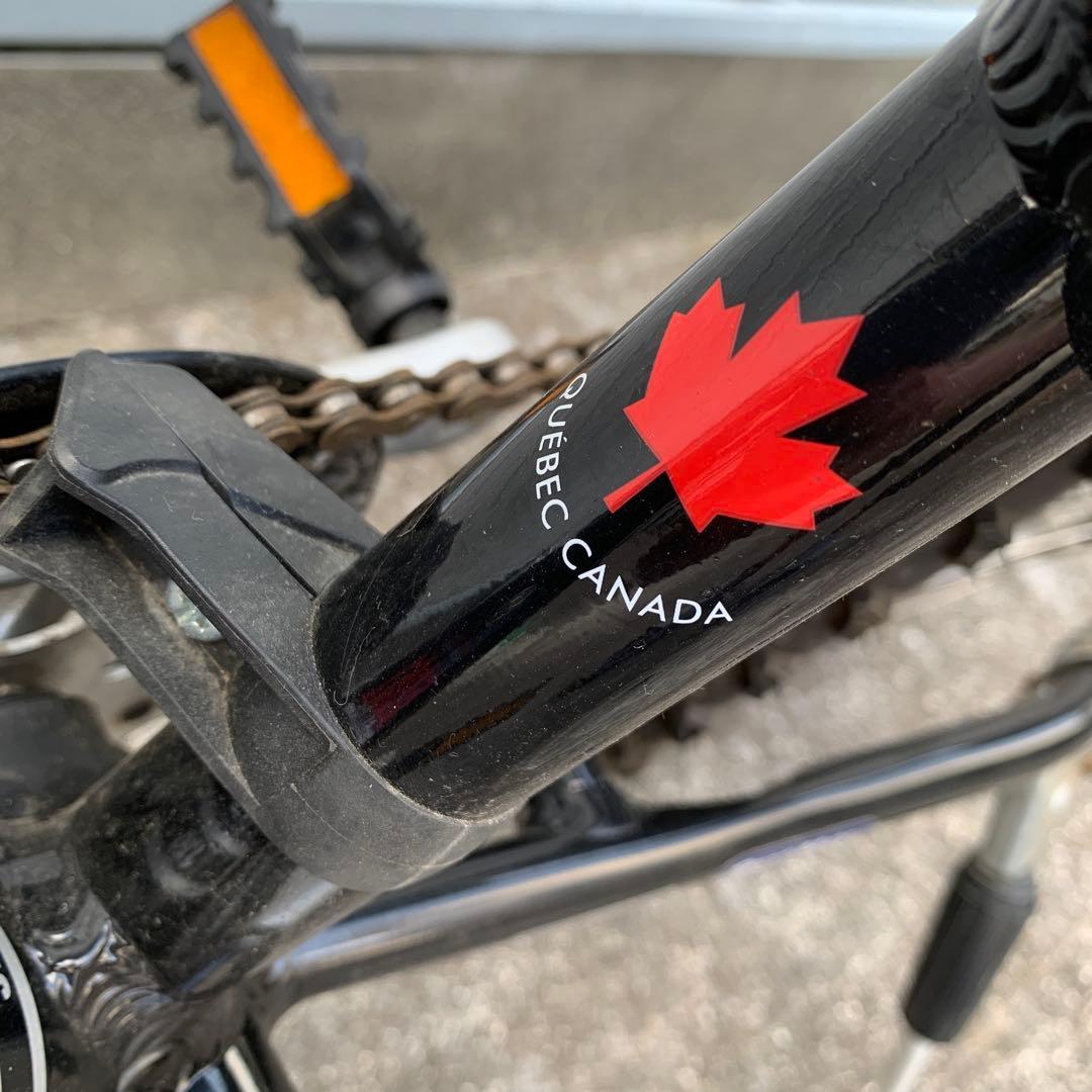 引取限定 LOUIS GARNEAU ジュニア20インチ マウンテンバイク