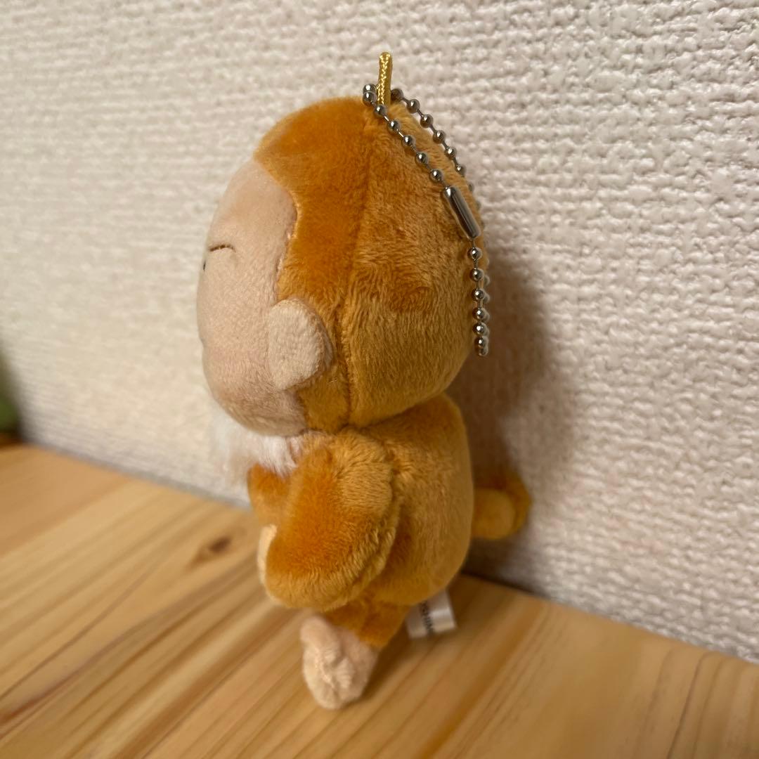 もふもと　ダイアン　セット
