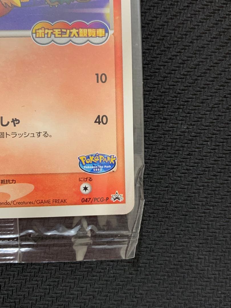 未開封 ポケパークのアチャモ 047/PCG-P PROMO ポケパーク