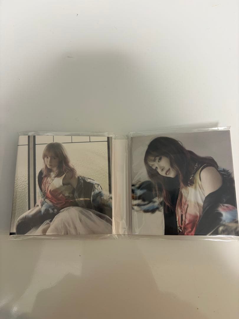 LiSA ペットボトルケースカラビナ付き &メモ