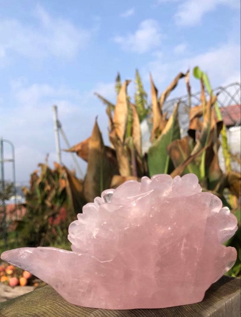 ❤️高品質　精巧に彫刻　☆大きめ0.42kg 逸品　ローズクォーツ　薔薇カービング