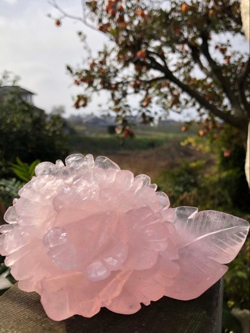 ❤️高品質　精巧に彫刻　☆大きめ0.42kg 逸品　ローズクォーツ　薔薇カービング