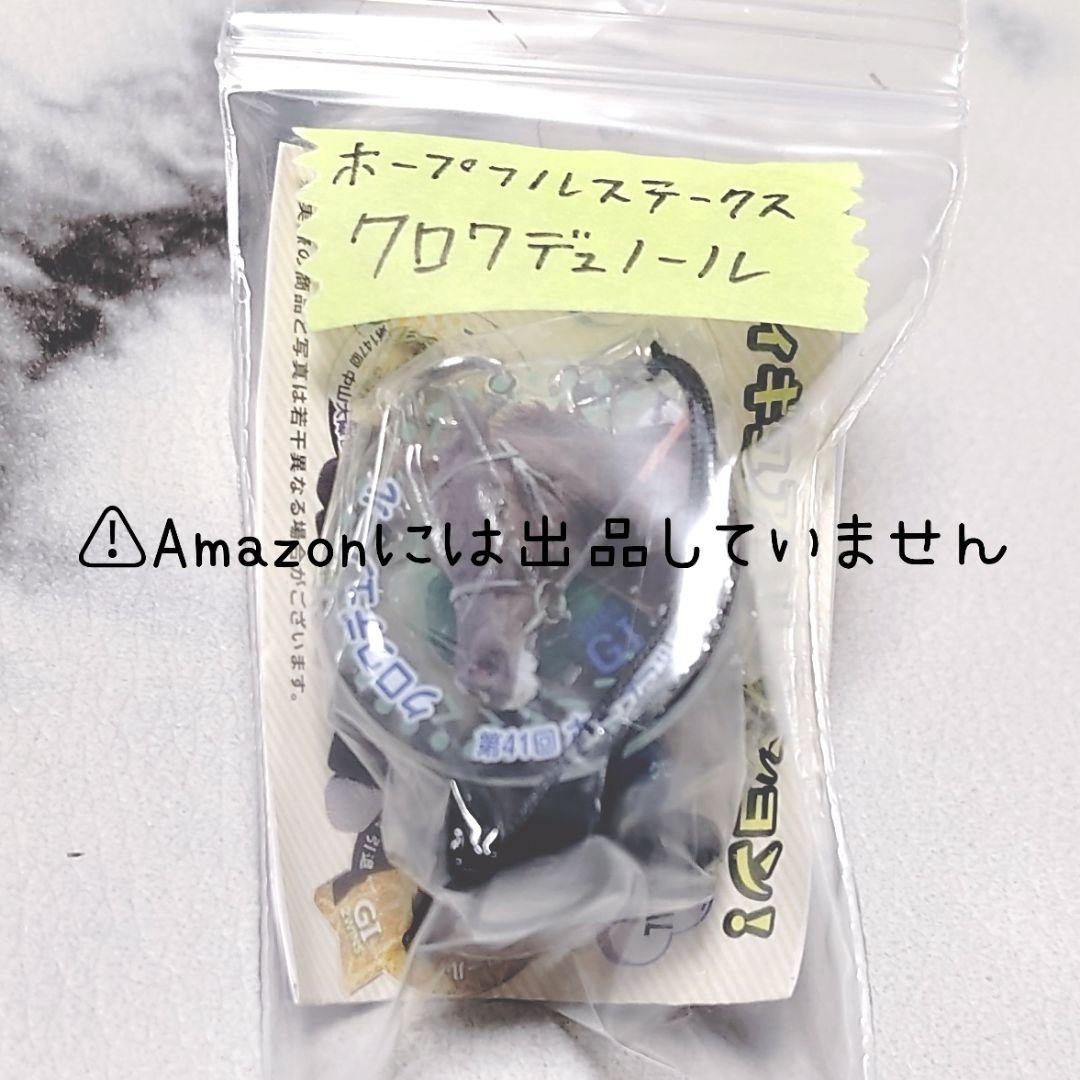 【競馬】クロワデュノール セット②