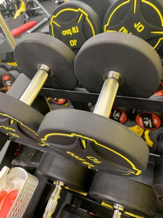 TPUダンベル　20kg 2個
