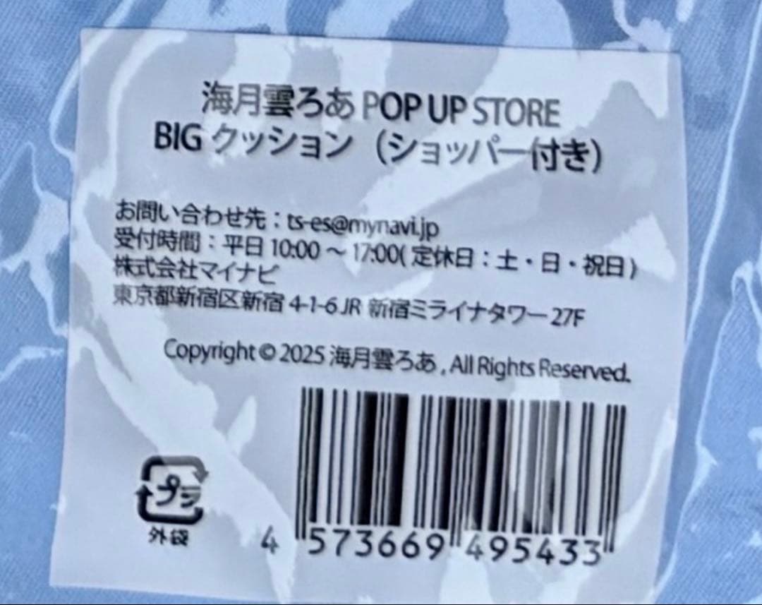 海月雲ろあ BIGクッション（ショッパー付き）