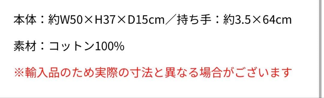 【早い者勝ち】LADY GAGA MAYHEM 会場限定CAMEOトートグレー