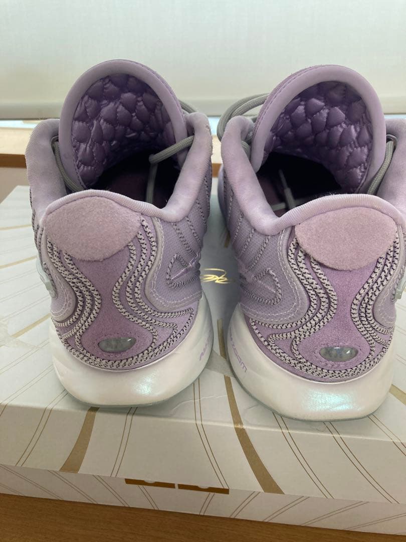 lebron21 レブロン21 28cm グローバルラスト