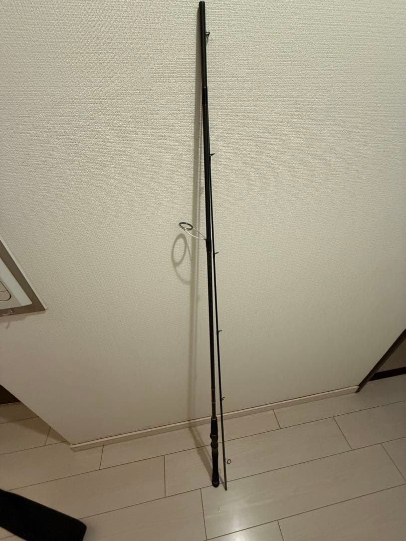 DAIWA BLAST MASTER シーバスロッド　ケース付き