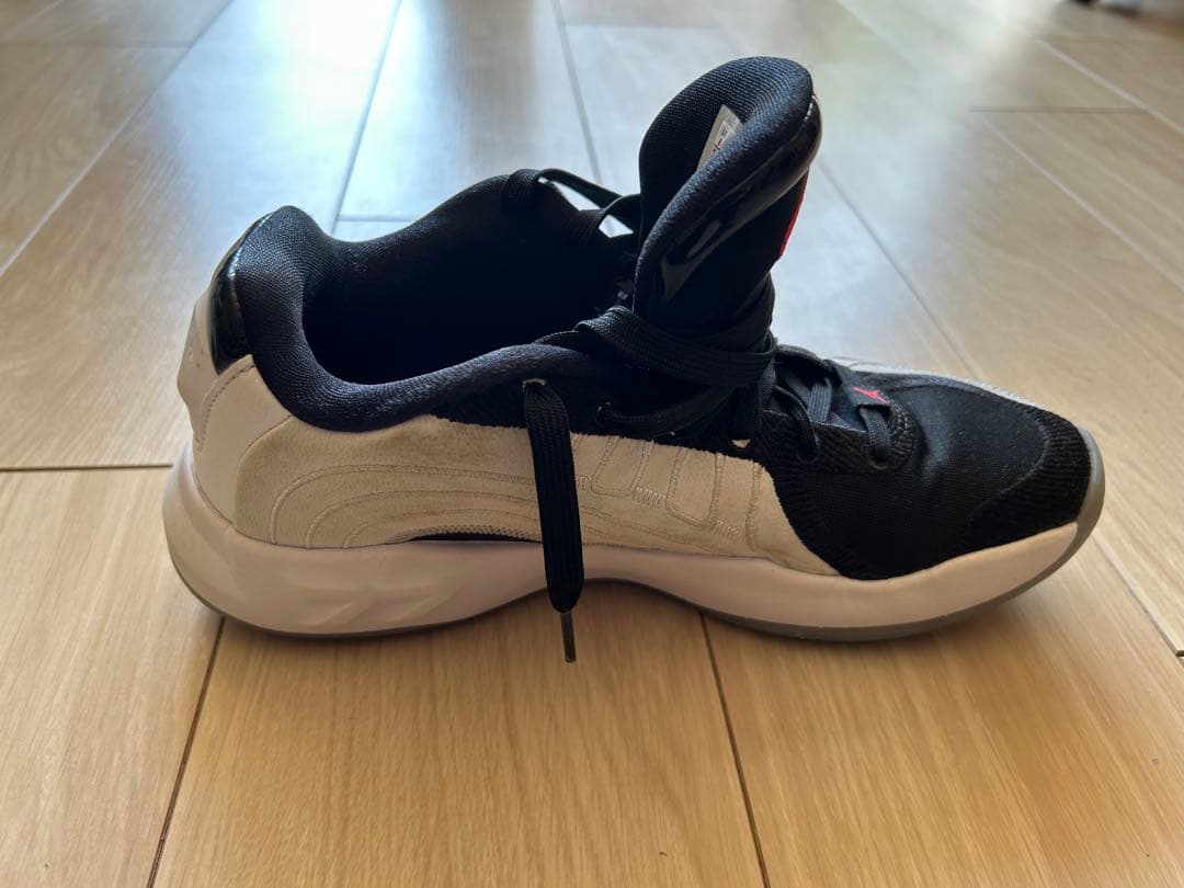 JORDAN LUKA4 PF サイズ26cm
