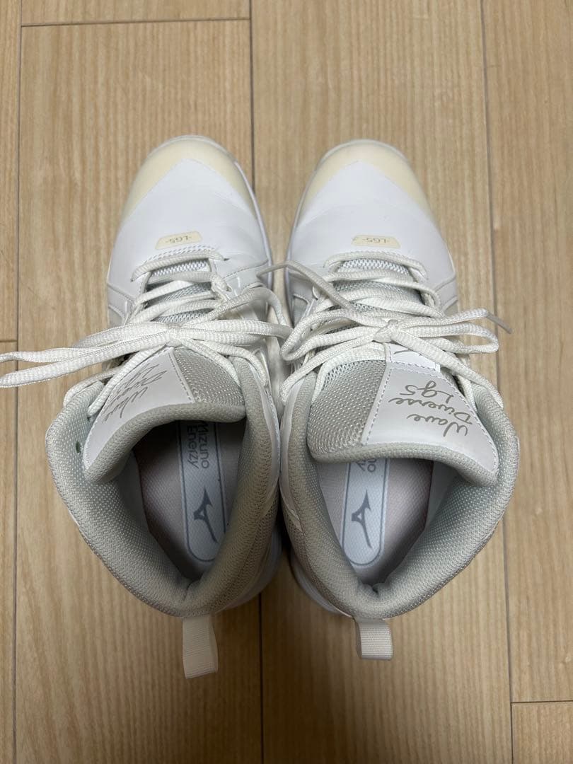 その他 Mizuno Wave Diverse LG5