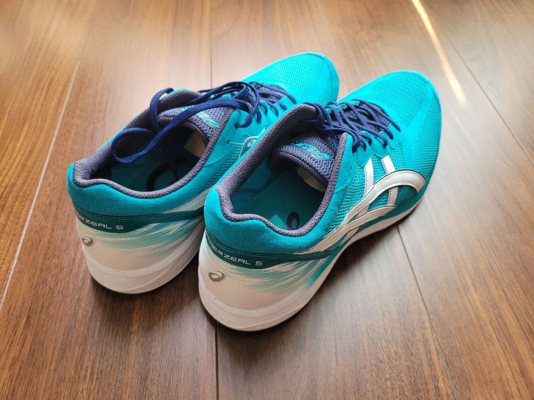 【新品未使用】asics TARTHERZEAL5 サイズ28cm