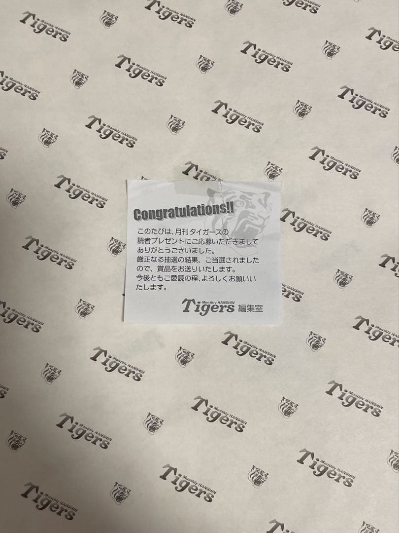 石井大智選手 阪神タイガース 直筆サイン入り 写真 69