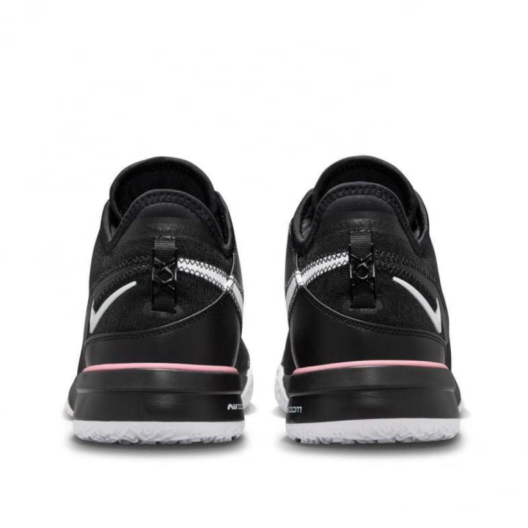 シューズ(男性用) NIKE ZOOM LEBRON NXXT GEN EP DR8788 003