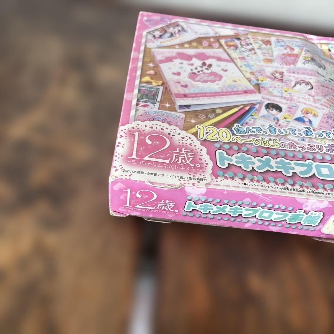 ⭐️希少未使用品⭐️12歳。トキメキプロフ手帳　ちゃお