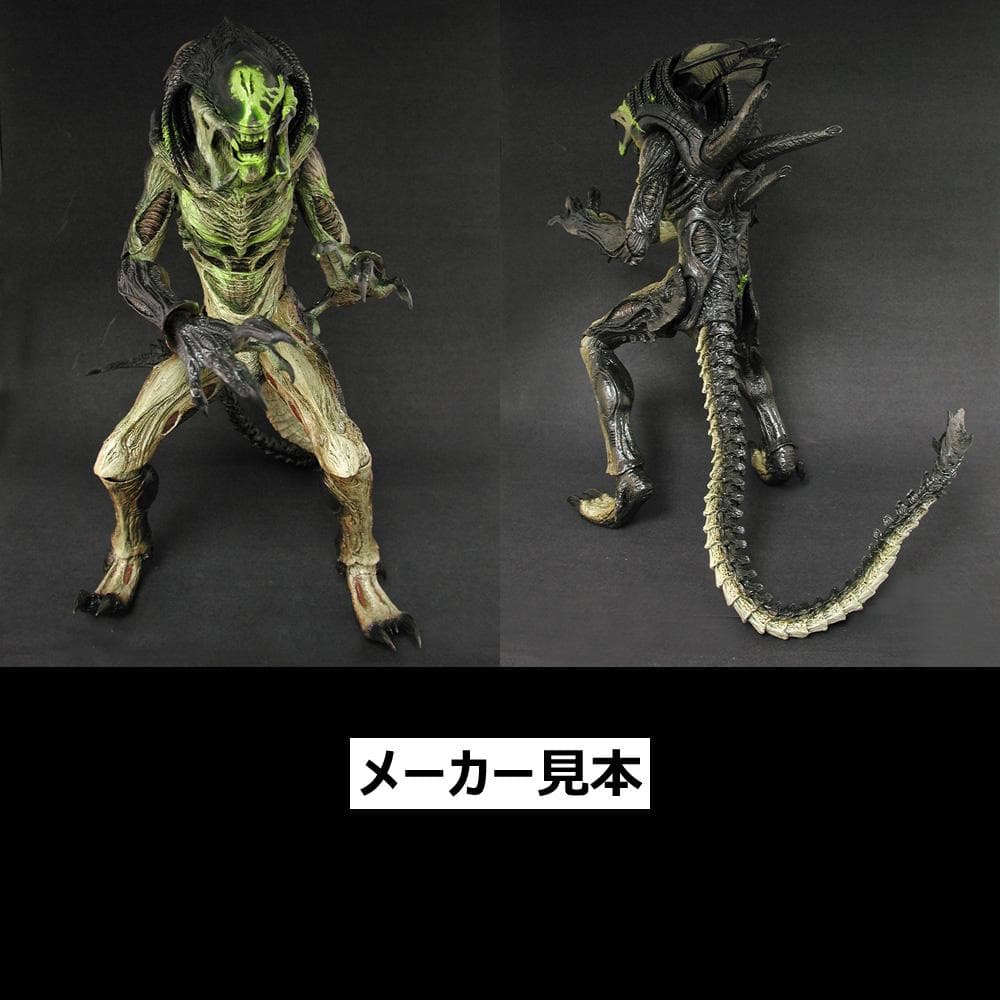 限定版！AVP2【プレデリアン(バトルダメージ版)】1/6　HOT TOYS