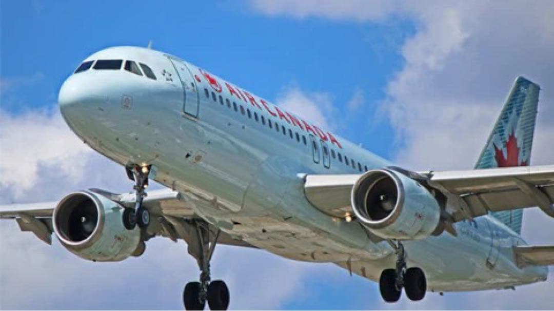 エア・カナダ Planetags A320-211 C-FTJ ロゴカット