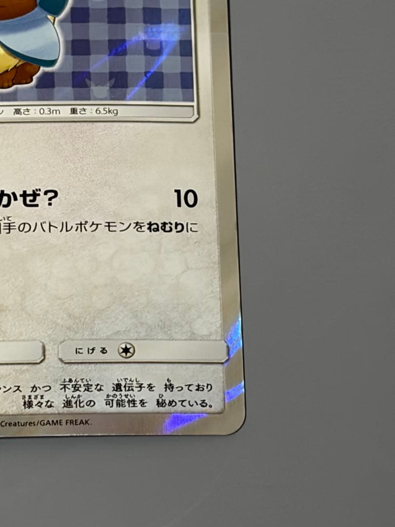 ポンチョを着たイーブイ グレイシア プロモ SM-P ポケモンカード ポケカ