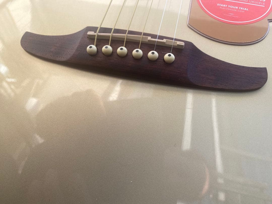 Fender Newporter Player (フェンダーニューポーター)