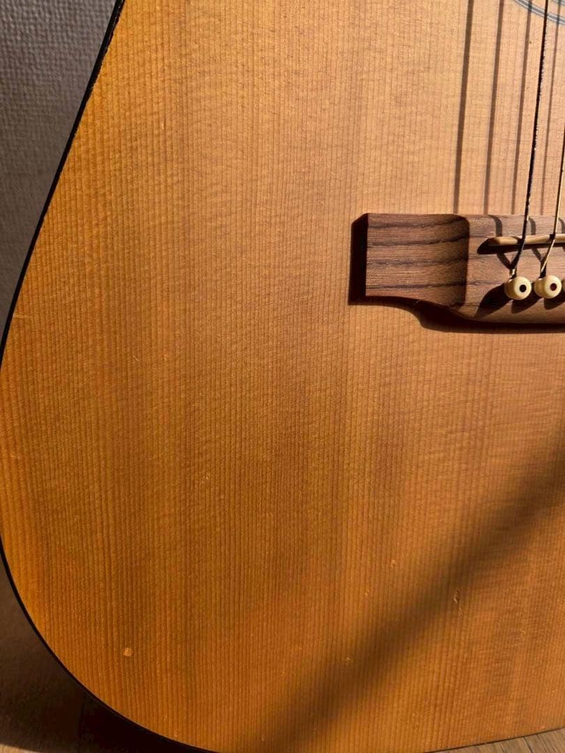 ギター Martin D-1