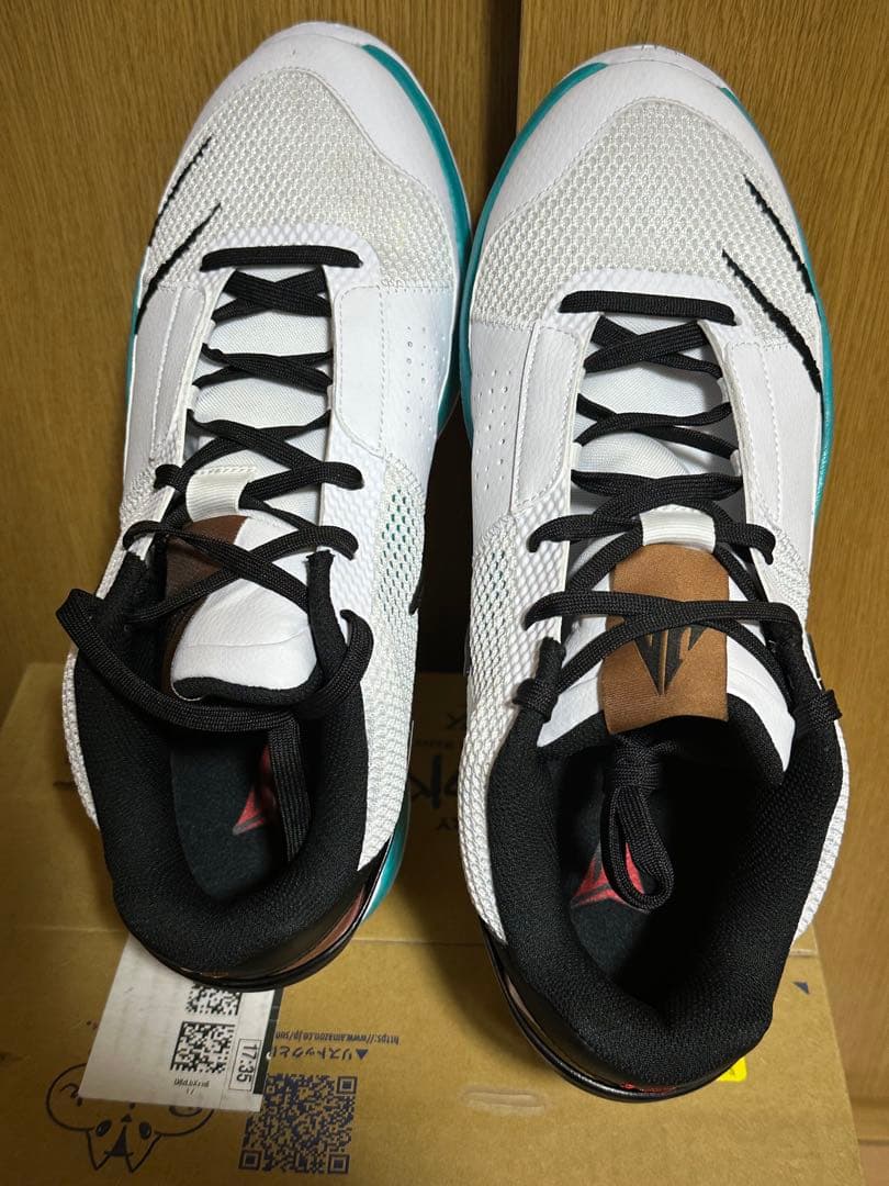 シューズ(男性用) NIKE ja1 ep 30cm