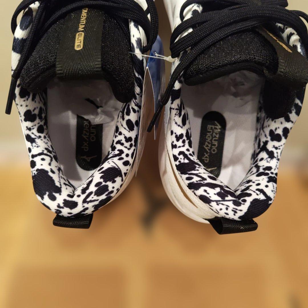 Mizuno バレーボールシューズ 新品　25.5