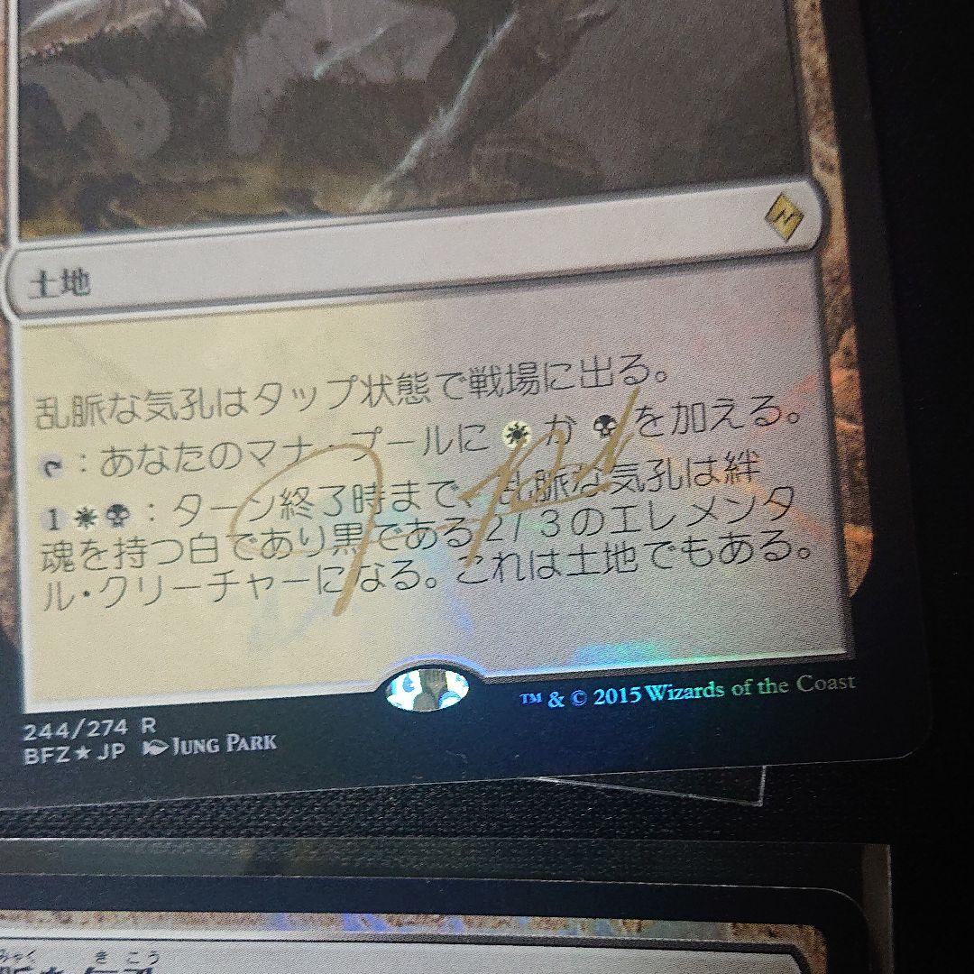 MTG 日本語 foil 乱脈な気孔 サインド？ 4枚