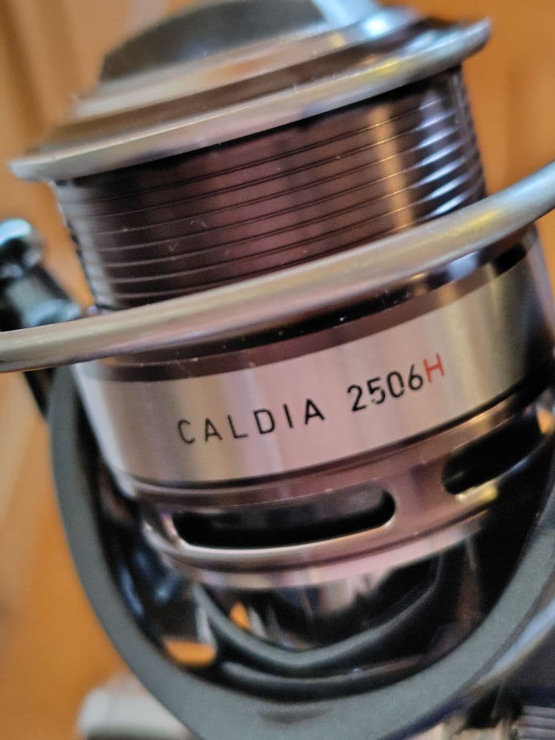 ダイワ　DAIWA　14カルディア2506H