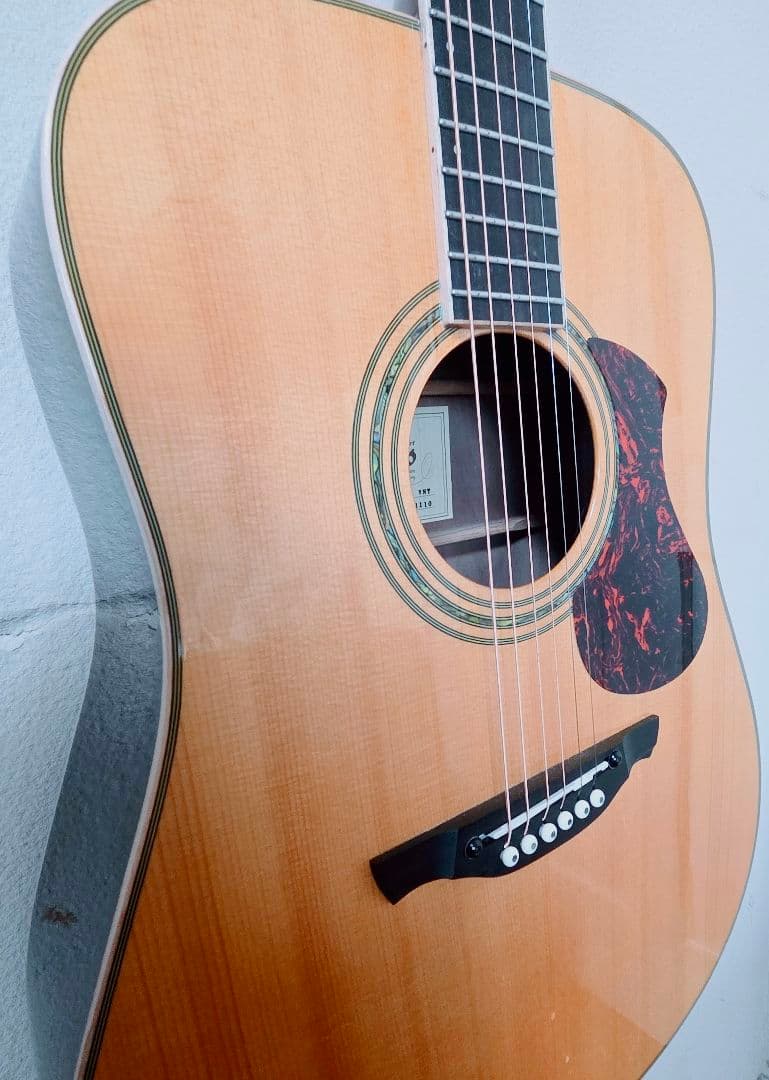 ​James J500L アコースティックギター ドレッドノート
