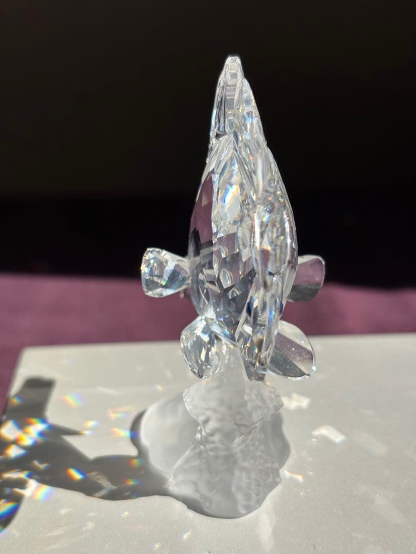 未使用品☆スワロフスキー　クリスタル ガラス　フエヤッコダイ　SWAROVSKI