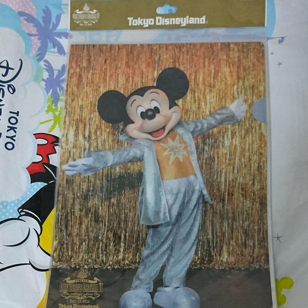ディズニー ワンマン グッズ 写真 タオル 巾着 クリアファイル