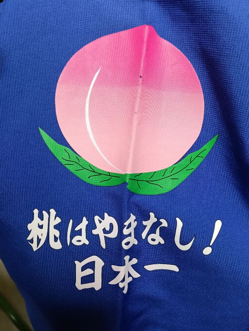 【希少・Lサイズ】ヴァンフォーレ甲府 長袖ピステ フルスポンサー 武田菱丸