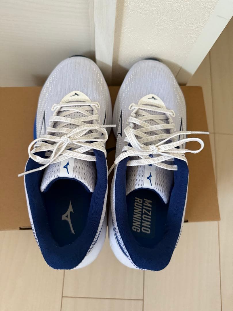 【極美品】MIZUNO WAVE RIDER 28 27.0cm