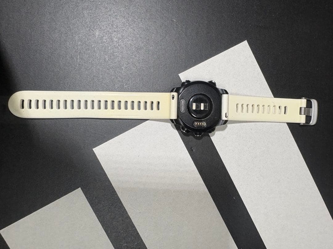 その他 GARMIN245