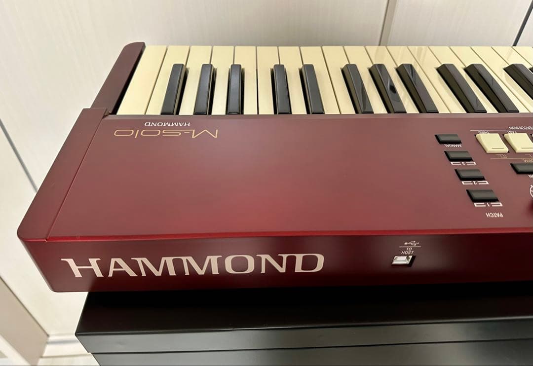 HAMMOND M-solo BUR 専用ケース付き