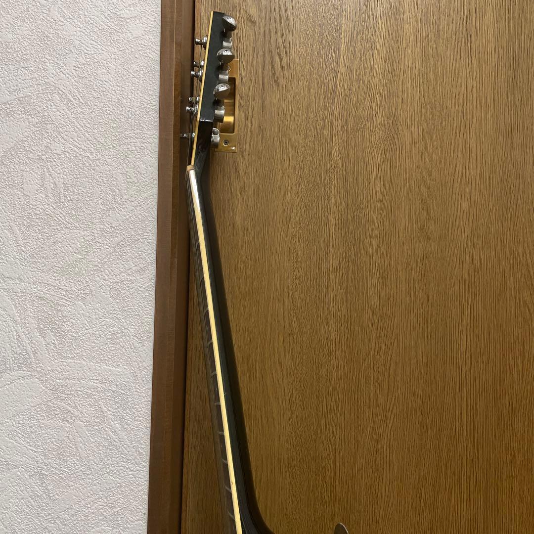 Takamine タカミネ NPT-110 エレアコギター