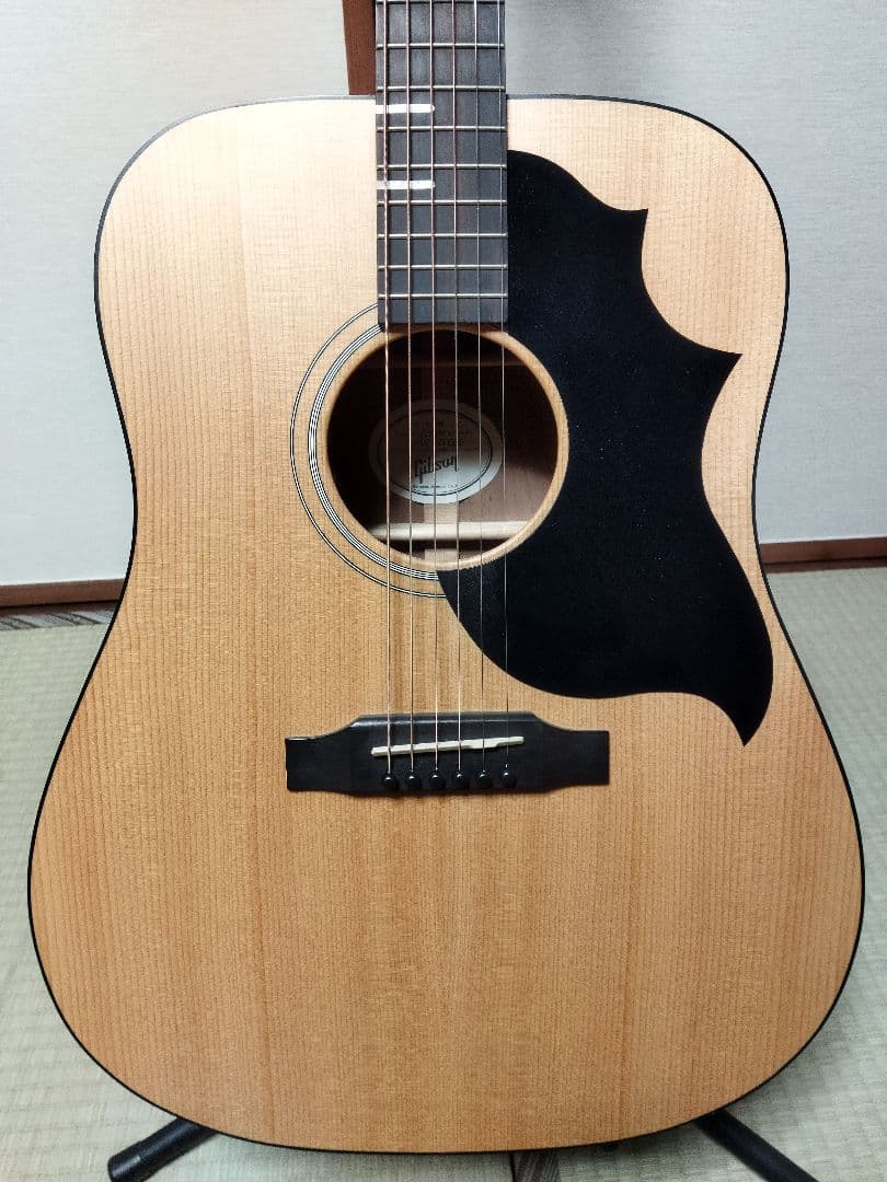 ギター Gibson G-Bird ~Natural~
