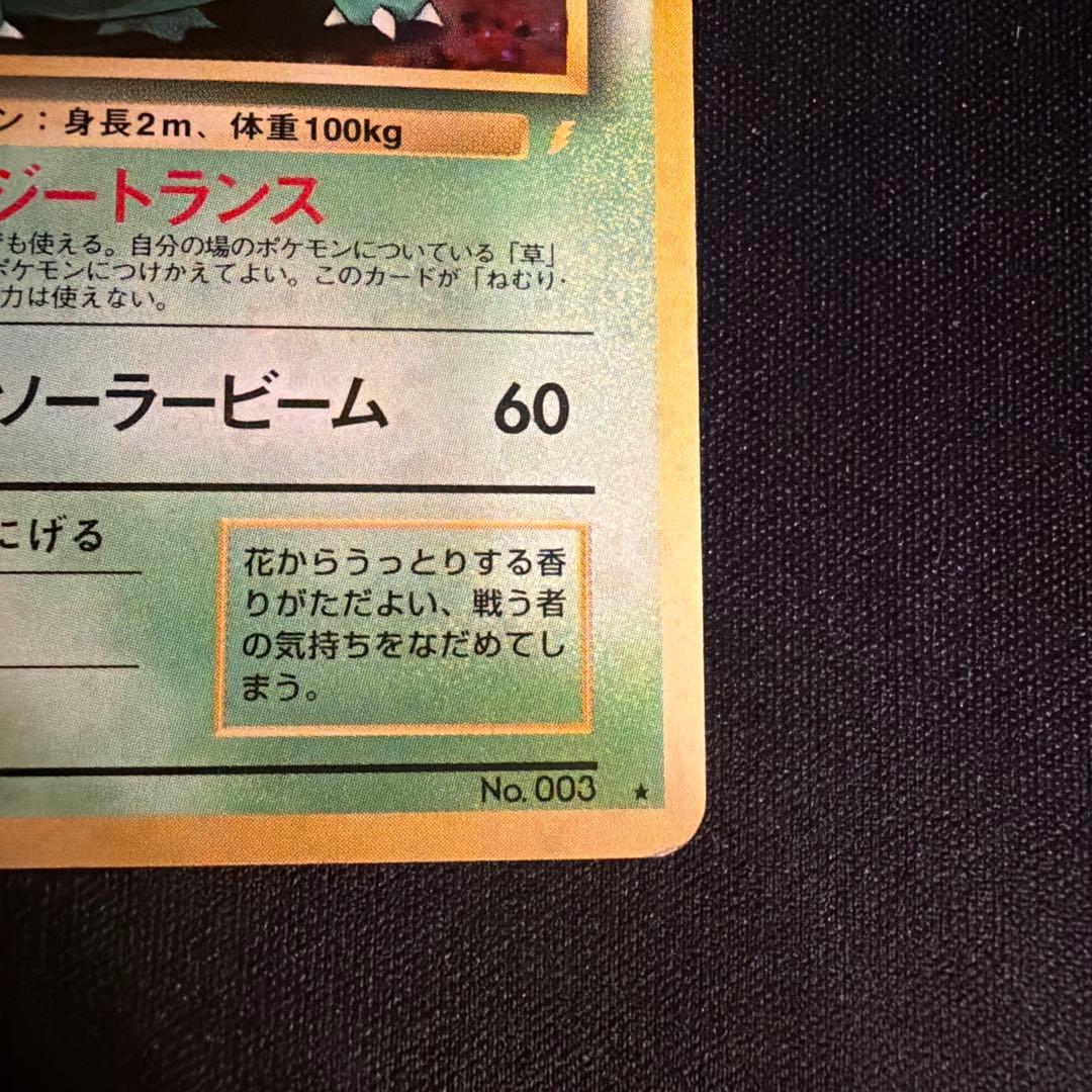 旧裏　フシギバナ（Venusaur）　とりかえっこプリーズ　PROMO ポケモン