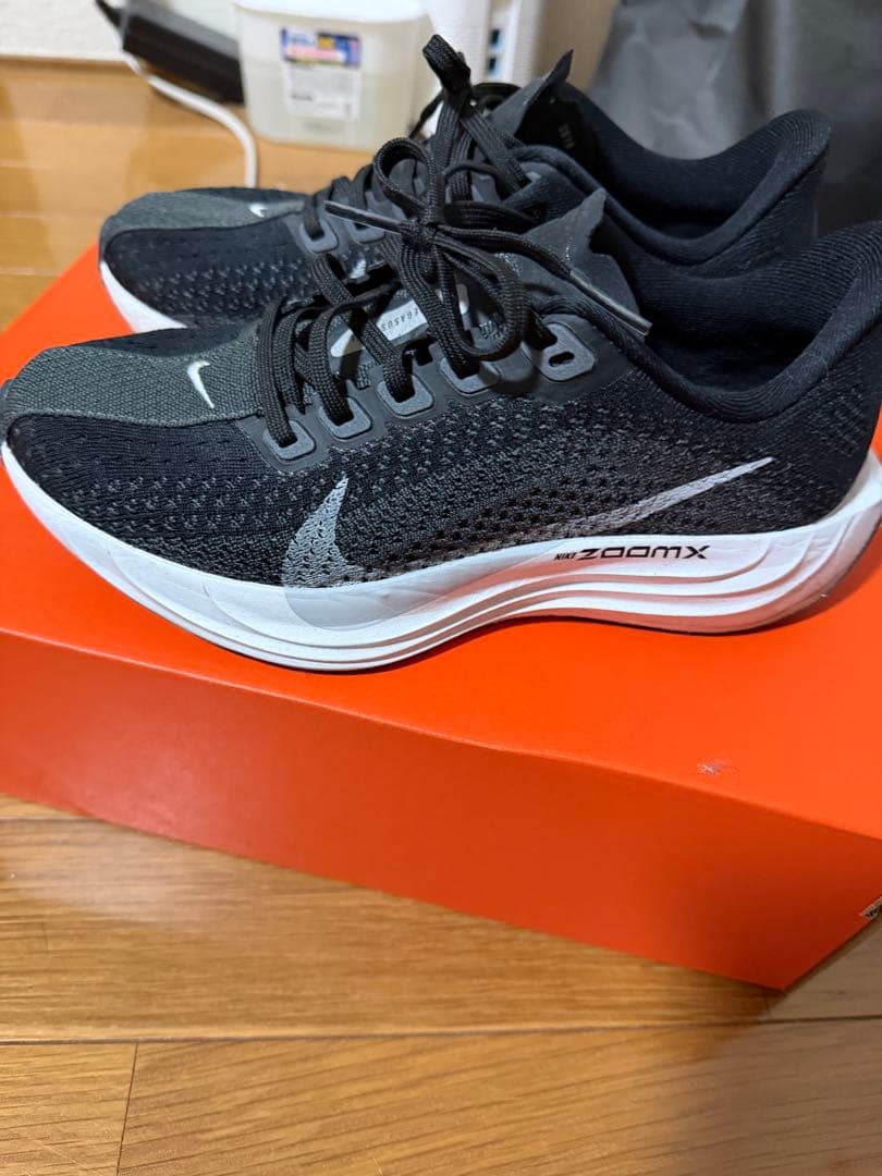 Nike ペガサスプラス　22.5センチ