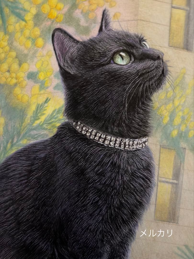 色鉛筆画.A4. ミモザに包まれた黒猫