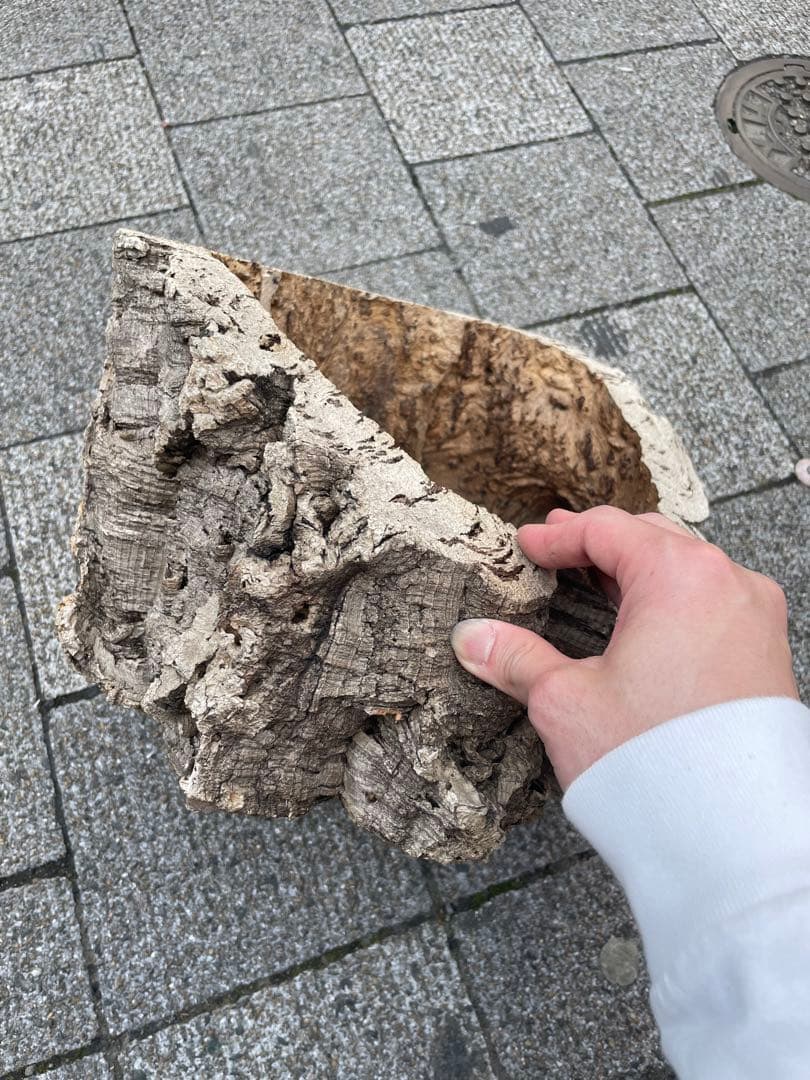コルク？　コルク板　コルク樹脂