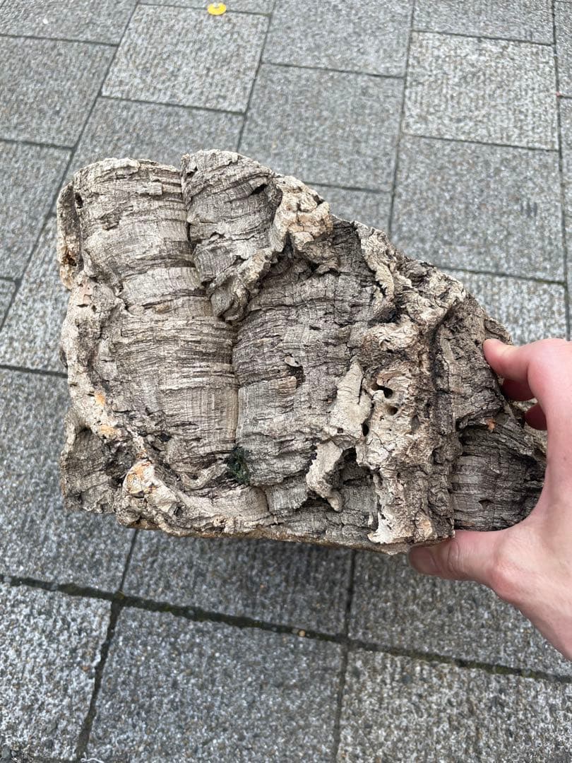 コルク？　コルク板　コルク樹脂