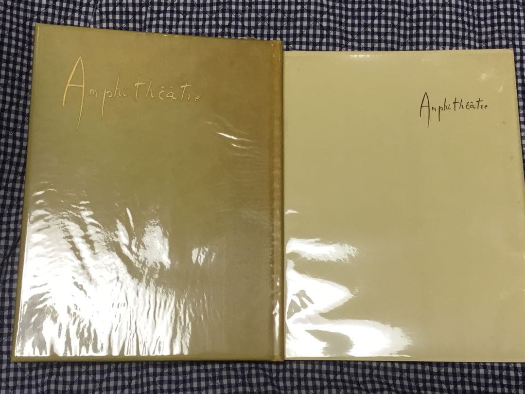 値下⭕️レオノール・フィニー　銅版2葉　サイン　『円形劇場から』辻邦生8万5千円