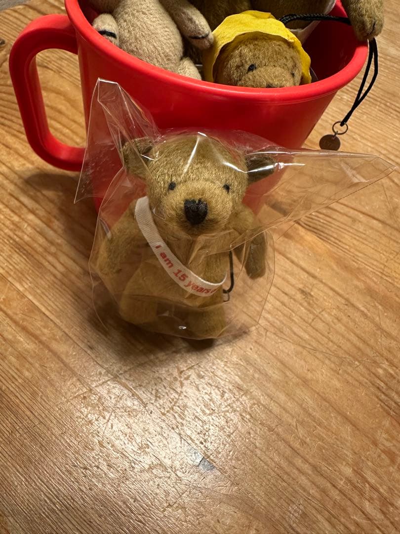 ロングトラックフーズ　くま　ベア
